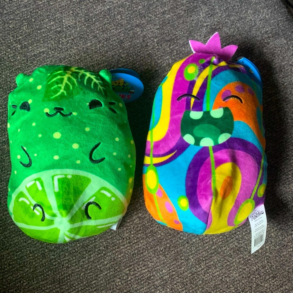Cats vs Pickles - CHONKS - One cat and one pickle - NEW